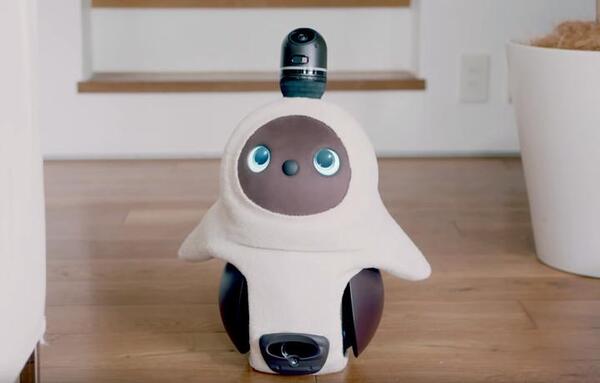 ¡Así es “Lovot”, el robot que ayuda a combatir la soledad!