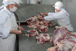 Ganaderos de EE.UU. piden suspender las compras de carne desde Brasil