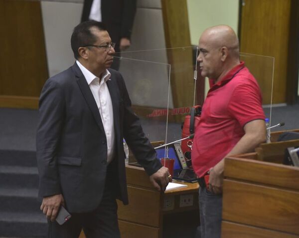 Diputados recibe informe de Contraloría y cartismo sigue frenando intervención - Nacionales - ABC Color