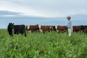 Bill Gates ya sabe cómo se produce la carne uruguaya - Mundo - ABC Color