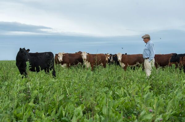 Bill Gates ya sabe cómo se produce la carne uruguaya - Mundo - ABC Color