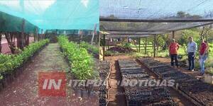REACTIVAN VIVERO MUNICIPAL EN CARLOS ANTONIO LÓPEZ - Itapúa Noticias