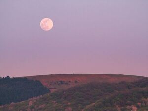 ¿Cuándo y dónde ver la luna rosa? - Megacadena — Últimas Noticias de Paraguay