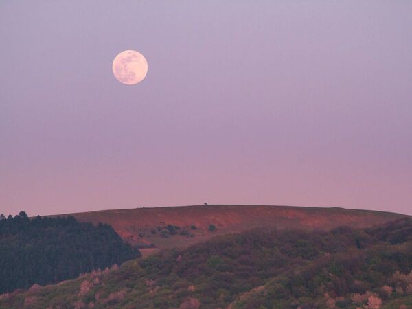 ¿Cuándo y dónde ver la luna rosa? - Megacadena — Últimas Noticias de Paraguay