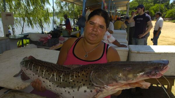 Festival del Pescado va hasta el domingo en Remanso y Zeballos Cué.