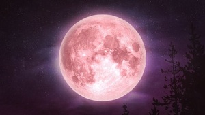 Atención amantes de la astronomía, vamos a tener ´´Luna Rosa´´ - Te Cuento Paraguay
