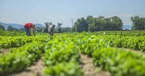 La Nación / Buenas prácticas ante el cambio climático