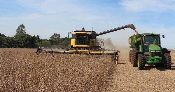 La Nación / Los commodities suben de precio