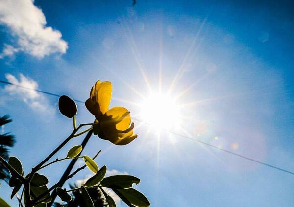 Pronostican jornada cálida y aumento gradual de temperatura | Noticias Paraguay