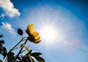 Pronostican jornada cálida y aumento gradual de temperatura - PARAGUAYPE.COM