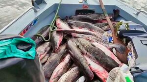 Paraguayos detenidos por pesca depredadora en Porto Murtinho