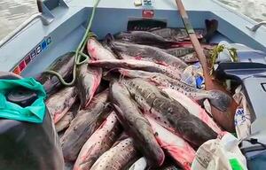 Caen tres paraguayos por pesca ilegal en Porto Murtinho