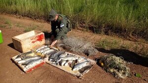 Capturan a paraguayos por pesca depredadora | Noticias Paraguay