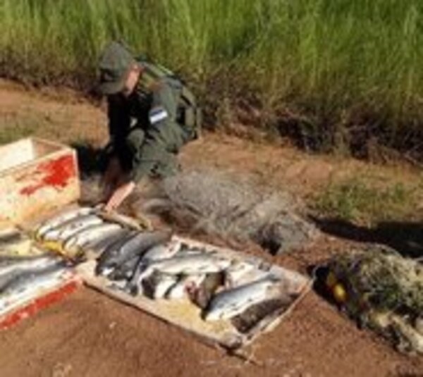 Caen paraguayos por supuesta pesca depredadora - Paraguay.com