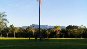 Delincuentes asaltan una posada turística en Independencia
