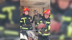 Cachorro es rescatado de entre los escombros en Ucrania