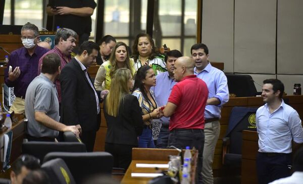 Colorados definirán si castigan por ley el conflicto de intereses - Nacionales - ABC Color