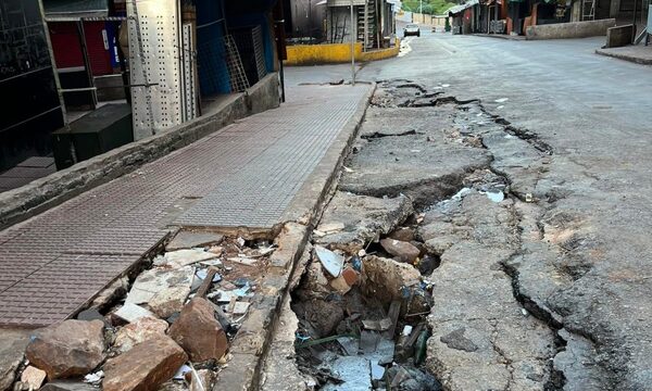 Esteños deben soportar pésimas condiciones de sus calles y yuyales