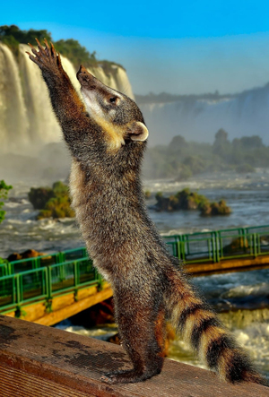 Exponen fotografías únicas de las Cataratas de Yguazú - La Clave