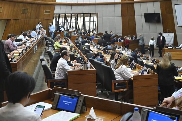 Diputado presenta proyecto de ley para eliminar cupos de combustible - Nacionales - ABC Color