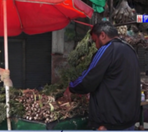 Yerbas para aliviar molestias tras Semana Santa - Paraguay.com