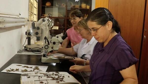 Invitan a mujeres líderes en ciencia y tecnología a presentarse a becas para estudios de doctorado