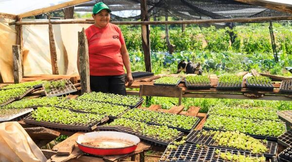 Impulsan la cultura emprendedora en Caaguazú, San Lorenzo y Nueva Italia