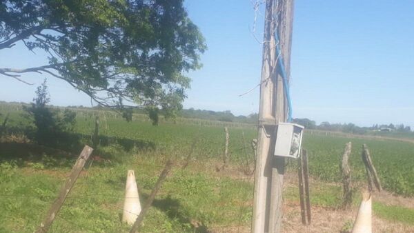Misiones: Hallan muerto a un hombre que estaba desaparecido