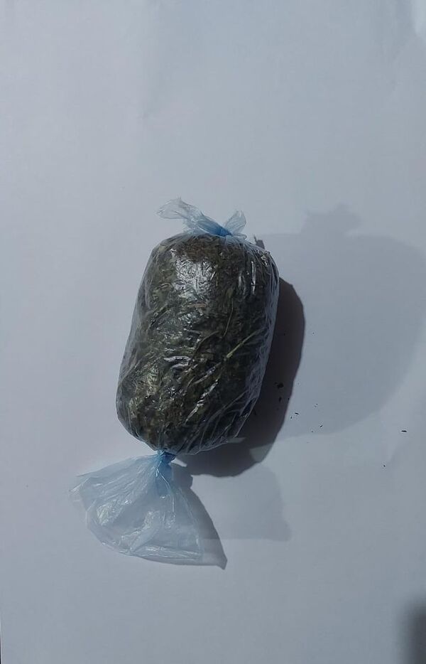 Un joven fue aprehendido por tener consigo 31,3 gramos de marihuana - Nacionales - ABC Color