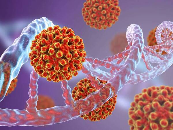 Diario HOY | Agente infeccioso podría ser causa de casos de hepatitis infantil