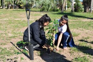 Impulsan concurso estudiantil para promover arborización de áreas públicas en Ayolas - .::Agencia IP::.