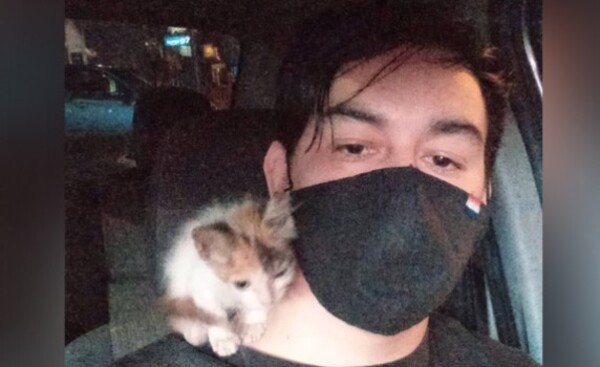 Conductor de Bolt rescata gatitos abandonados en las calles
