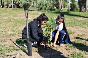 Impulsan concurso estudiantil para promover arborización de áreas públicas en Ayolas