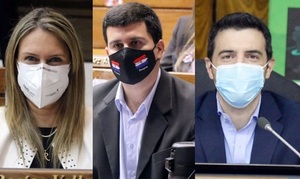 Sugieren aprobar proyecto de Resolucion que pide informes sobre inseguridad en Asunción