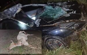 Automovilista choca contra una vaca en Coronel Oviedo – Prensa 5