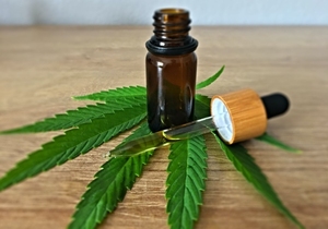 Preso por aceite de cannabis defiende su uso | 1000 Noticias