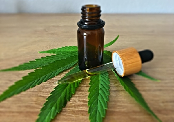 Preso por aceite de cannabis defiende su uso | 1000 Noticias