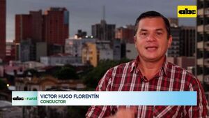Producción de mandioca junto al cultivo de soja y ayuda a vecinos - ABC Rural - ABC Color