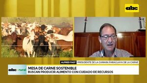 Paraguay y su escenario como productor de carne sostenible - ABC Rural - ABC Color