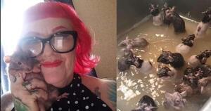 En california, una mujer cría 50 ratas como mascotas: "Son mis bebés"