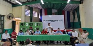 Chilavert se lanza, concertación opositora firma preacuerdo y Frente Guasu elige candidato - Nacionales - ABC Color