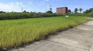 Universidad Taiwán usa Fonacide para refacciones de puesto militar, pero insiste en construir su sede en Parque Guasu - Nacionales - ABC Color