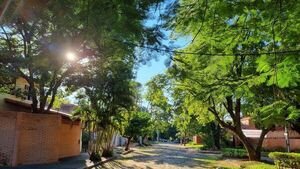 Pobladores  solicitan  respetar área residencial en zona de Los Mangales