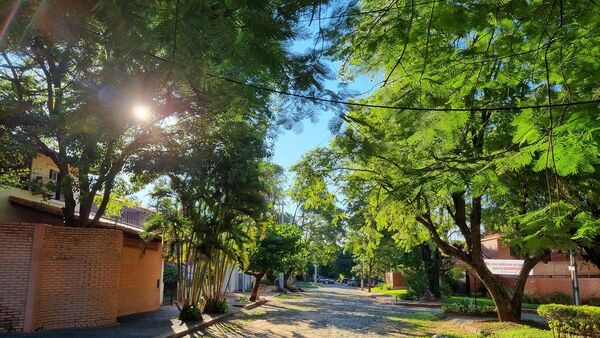 Pobladores solicitan respetar área residencial en zona de Los Mangales