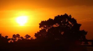 Mitad de semana con máxima de 29ºC - Radio Imperio