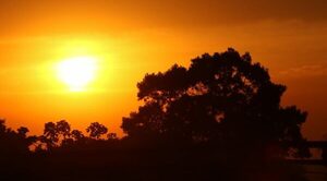Mitad de semana con máxima de 29ºC