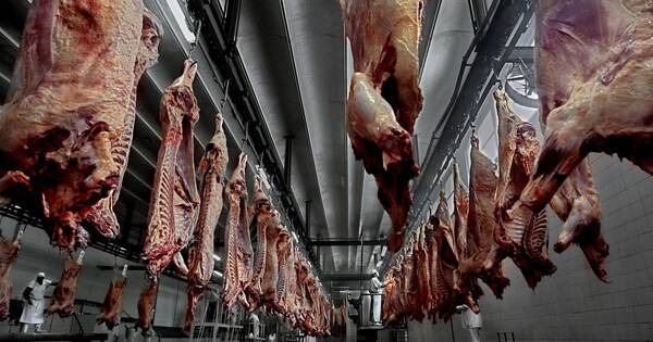 La Nación / Para el 15 de junio se aguarda veredicto de EEUU que permitirá exportar carne paraguaya