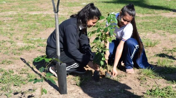 Concurso estudiantil para promover arborización de áreas públicas se inicia en Ayolas
