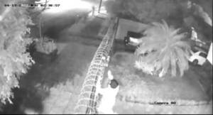 Crónica / [VIDEO] Pasó sobre una cerca eléctrica para robar vino cocare