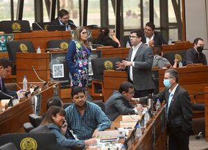 Diputados se ratifican en blanqueo de las declaraciones juradas falsas - Nacionales - ABC Color